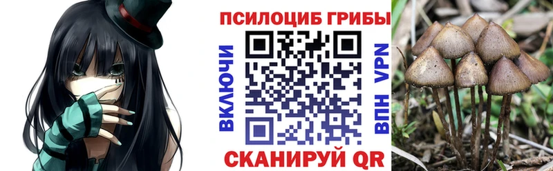 где продают наркотики  сайты даркнета официальный сайт  Псилоцибиновые грибы ЛСД  Никольское 